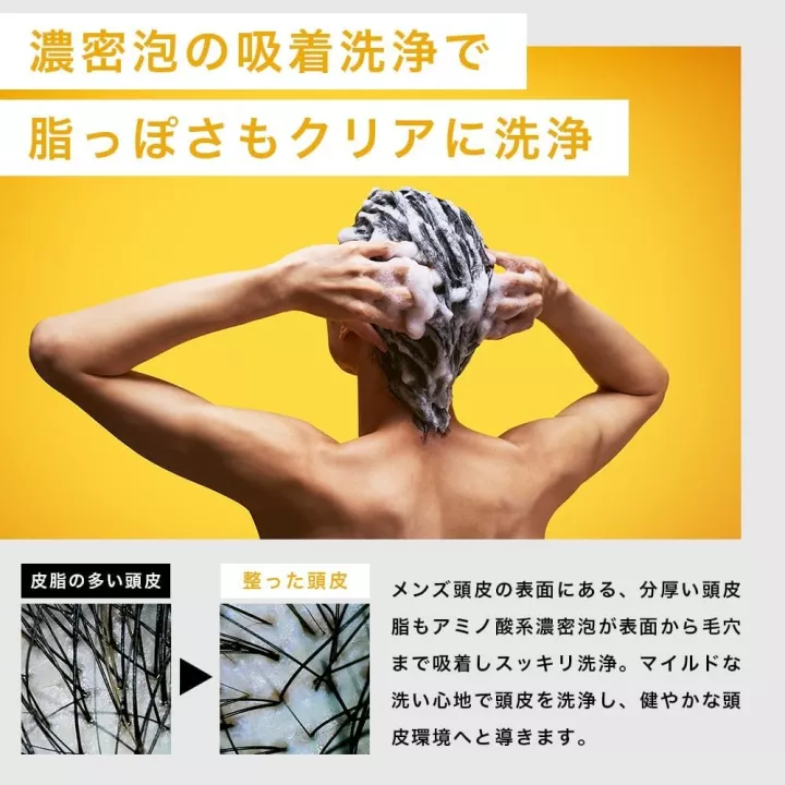 Shampooing pour le cuir chevelu dense en mousse NILE aux…