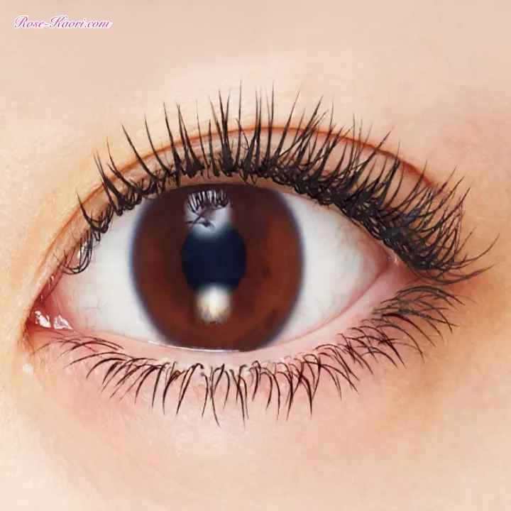 SHISEIDO - Maiolica Majorca - Mascara Edge Meister