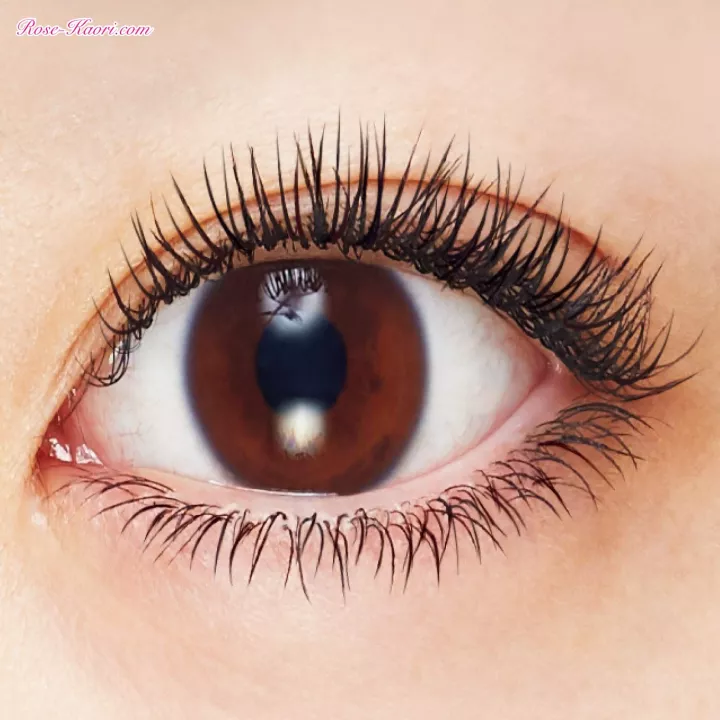 SHISEIDO - Majolica Majorca - Lash Esthetician BK999