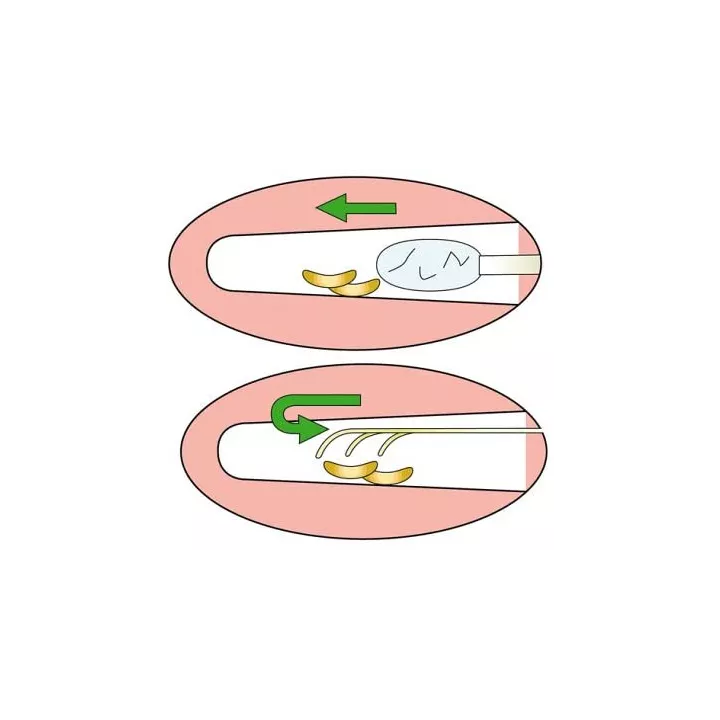 Earpick Ears Cleaner Nonoji Small | Rose Kaori