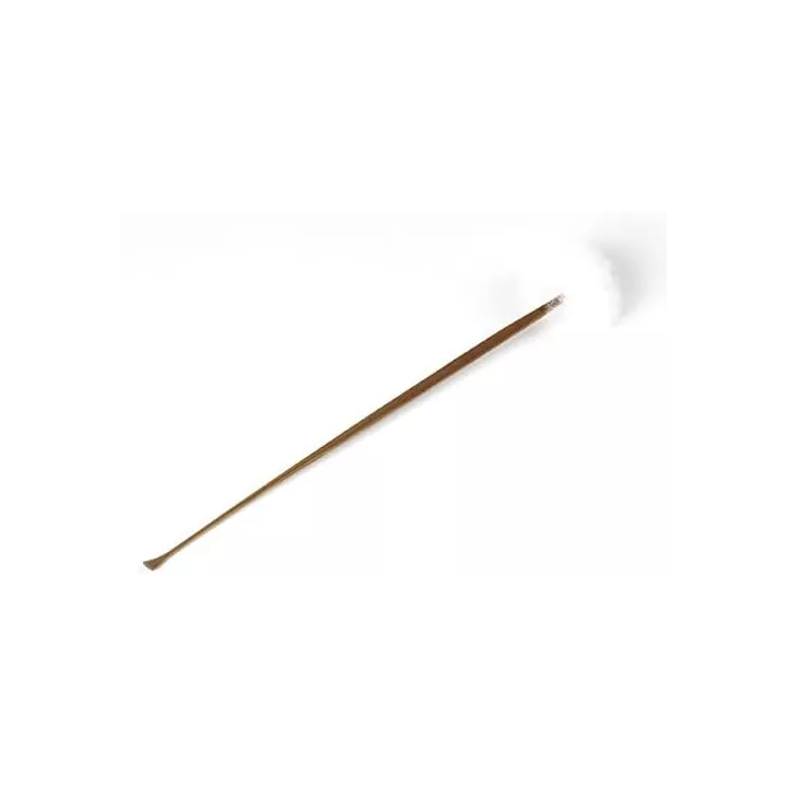 Earpick Ears Cleaner Tex Mex | Rose Kaori