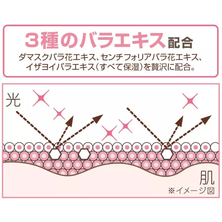 Excel - Extra Rich Pressed Powder 2020 | Rose Kaori